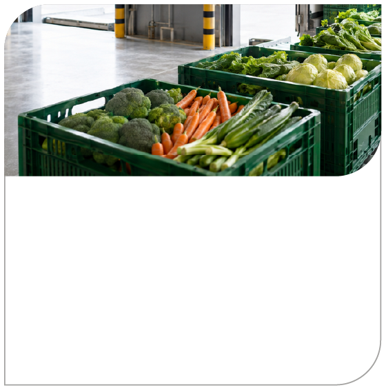 Cajas de verduras y hortalizas frescas